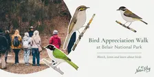 Bird Appreciation Walk at Belair National Park - 22 October 2026