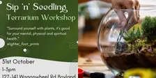 Sip 'n' Seedling - Terrarium Workshop