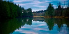 Walk: Lacamas Lake, Camas, WA