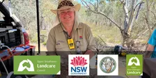 Cold Country Koalas