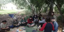 Playing with Plants: Creatively Rethinking Garden ‘Waste’