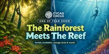 The Rainforest Meets The Reef