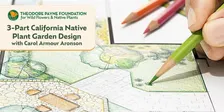 3-Part California Native Garden Design with Carol Armour Aronson - Nov 20, 2026