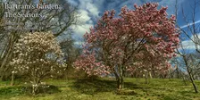 Bartram's Garden: The Seasons