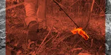 2027 Savanna Fire Forum