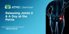 Releasing Joints II & A Day at the Pelvis - Newcastle 2026