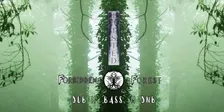 Forbidden Forest Twisted [Remixed] Launch Party