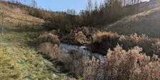 September River Monitoring Walk - Ford Green Brook North
