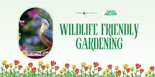 Wildlife friendly gardening