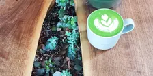 Matcha Latte Basics