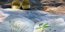 Nature journaling (for non-artists)