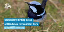 Community Birding Group - 14.11.26