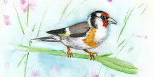 Basic Watercolor Workshop with Larry Johnson Dec 12
