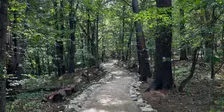 An Autumn Walk at Wolbach Farm