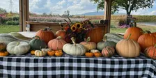Fall Sip-N-Pick