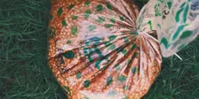 Jack Murat x Brew Methods: We Picked This