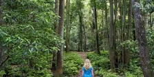 October MYA Sisters Hike - Forest Path Track