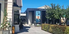 David Roche Gallery (Guided Fermoy House Tours)