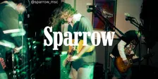 Sparrow at the Lowlife