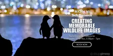 Creating Memorable Wildlife Images with Doug Gimesy