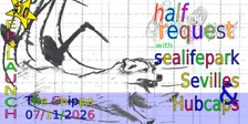 half request 'There's No Shame In Trying' EP launch with sealifepark, Sevilles and Hubcaps!
