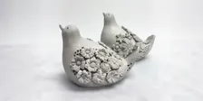 Whispers of the Garden Song Birds