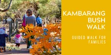 Kambarang Bush Walk - Families
