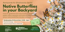 Native Butterflies in your Backyard