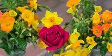 Flower Therapy Workshop