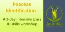 Grass ID Skills Workshop