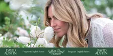 David Austin® Roses Master Class