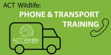 Phone and Transport training