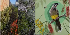 Yokine Laneway Mural Fundraising Dinner – 2026