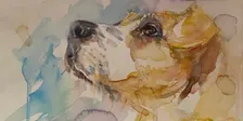 Moggies & Doggies Watercolour Workshop