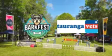 Tauranga Dog Dash - Brought to you by Tauranga Vets