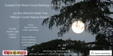 Full Moon Forest Bathing Walk