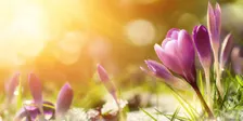 Invitation To: 11th Ayurveda Day  |  AYURVEDA FOR A HEALTHIER TOMORROW  |  Balance for People, Planet and Prosperity