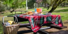 Connect Up Community Picnic
