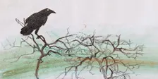 Sketching with Steven Holland