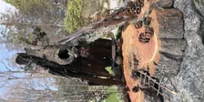 Fall Fairy House Competition!