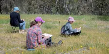 Draw Plants Together at Banyule Northern Grassland