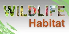 Creating Wildlife Habitat with Elle