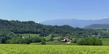 A Taste of Veneto: Prosecco & Cicchetti