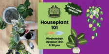 Houseplant 101 - October