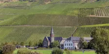 German Wine the B Sides - Beyond Riesling with Gill Sykes