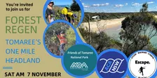 Coastal Forest Regen at Tomaree's One Mile - 7 November 2026