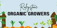 2026 Wind Up and Garden Quiz