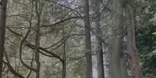 Discover Blithewold Differently: A Mindful Outdoor Experience