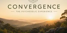 CONVERGENCE: The Psychedelic Experience