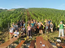 Stuttgart Wine Walk 2027
